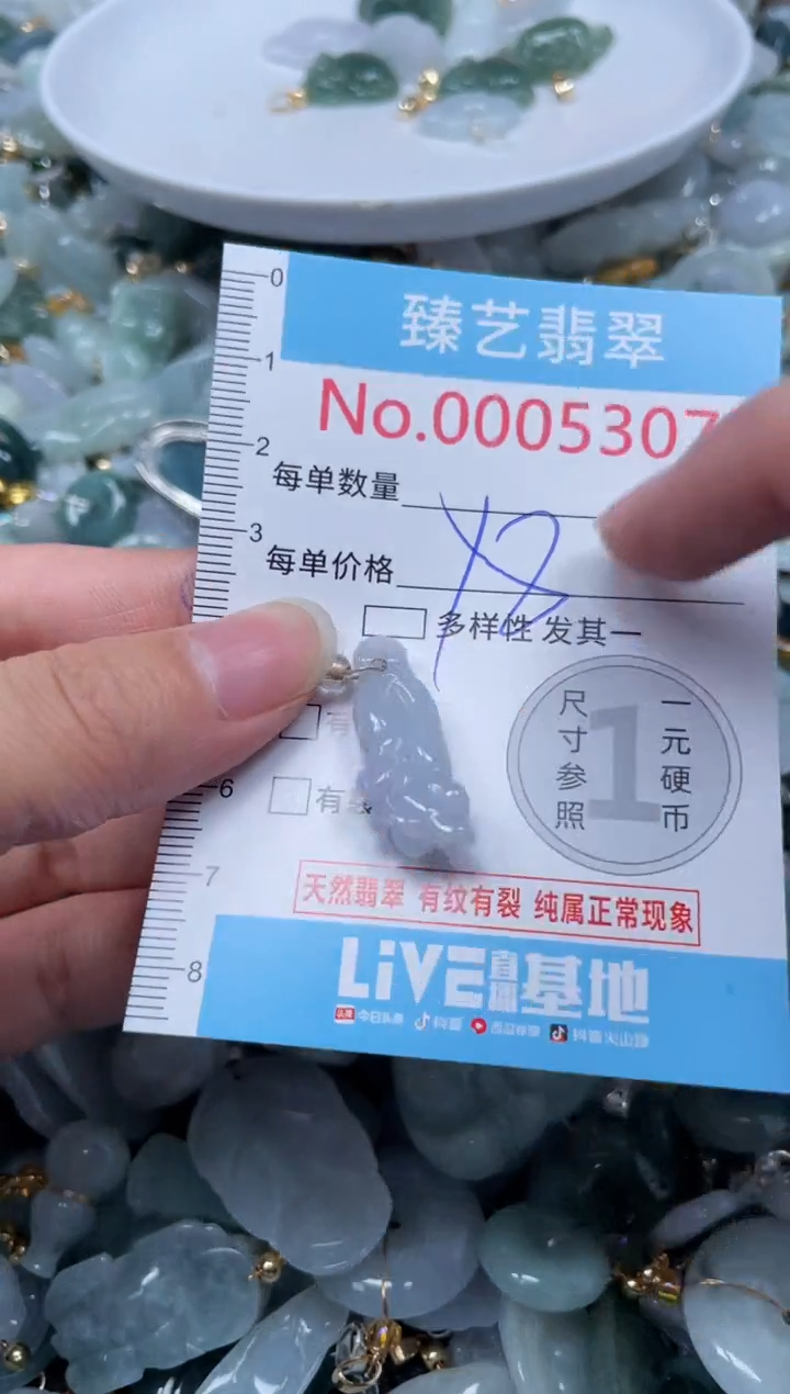 颈饰未镶嵌翡翠5307