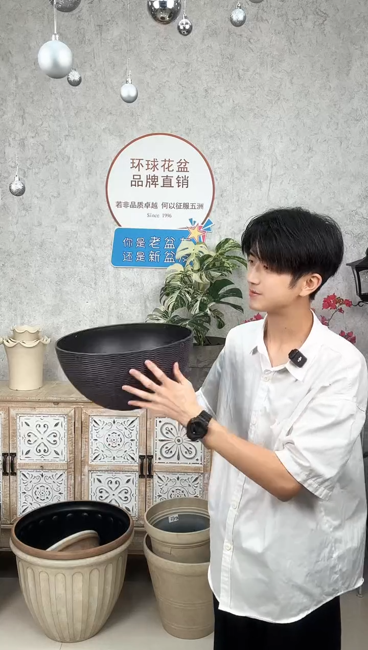外贸藤编吊兰紫色2只带铁链带内网