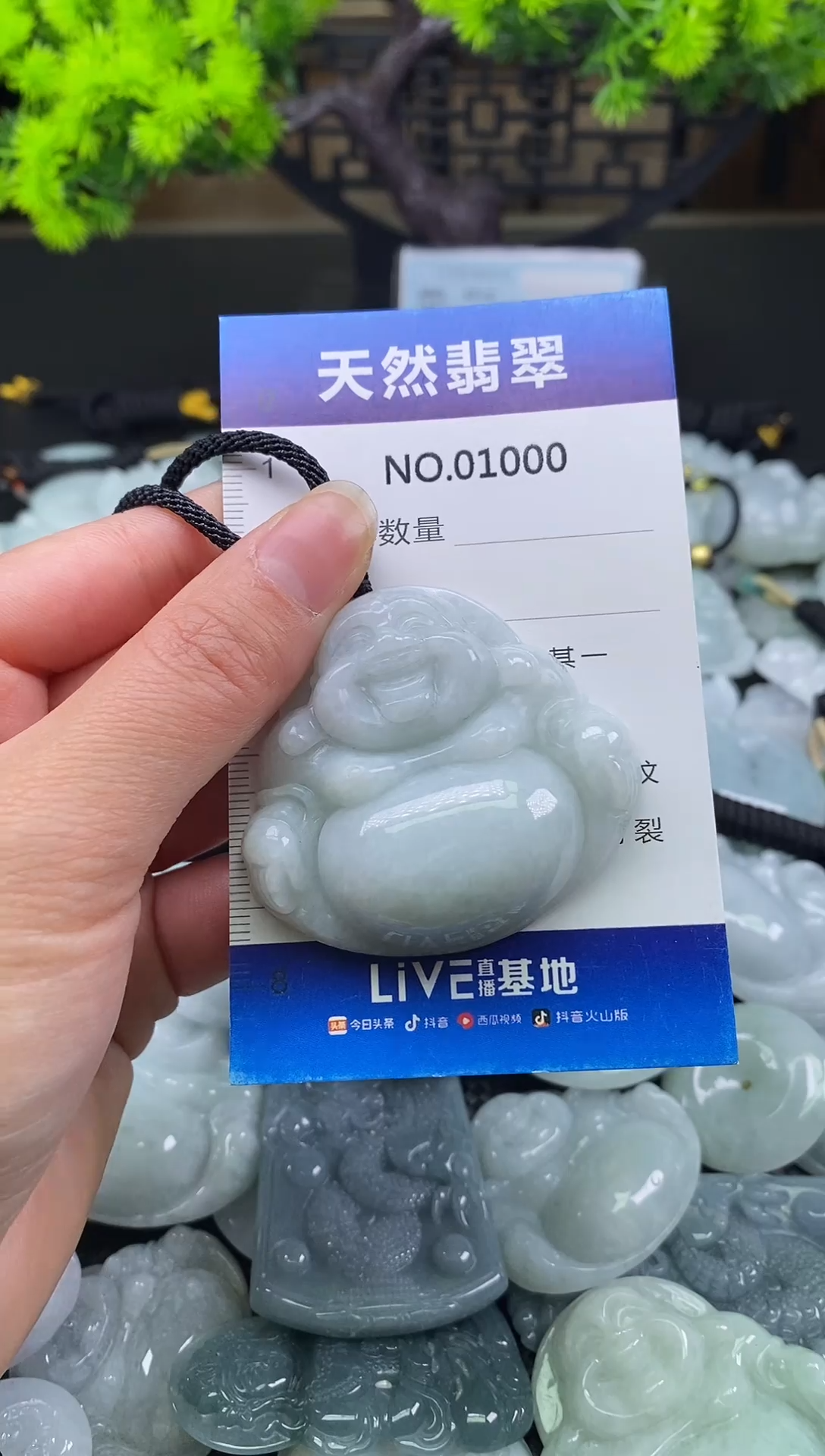 颈饰未镶嵌翡翠天然缅甸翡翠1000