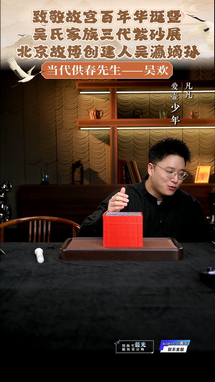 茶壶紫砂凡凡会客厅紫砂壶08
