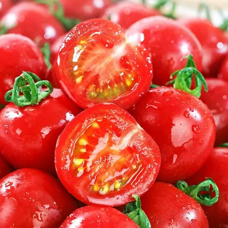 【次日达】圣女果千禧小番茄香甜新鲜自然熟现采现摘今天拍明天到山东省