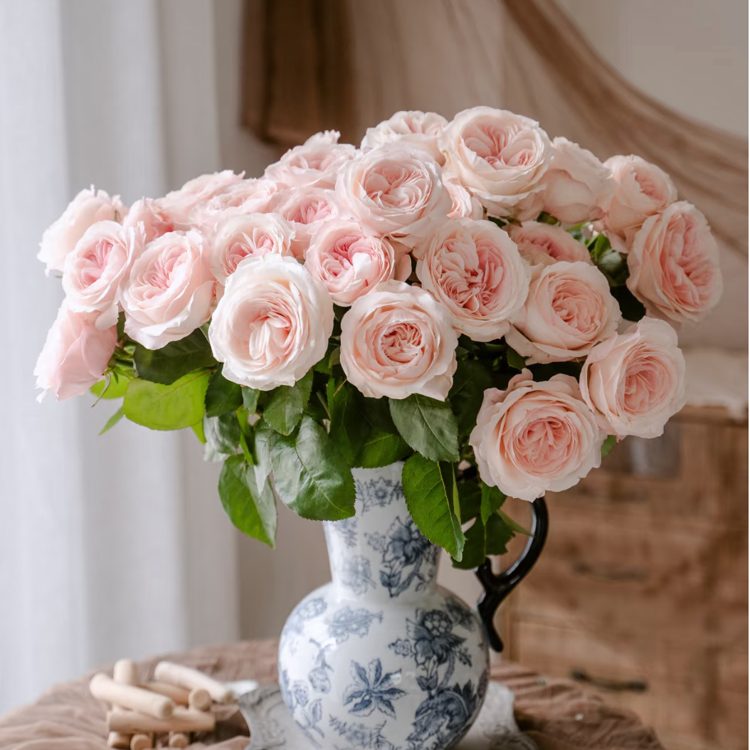 [凯瑟琳] 凯瑟琳单头玫瑰头水花 居家花艺高端花材  顺丰包邮