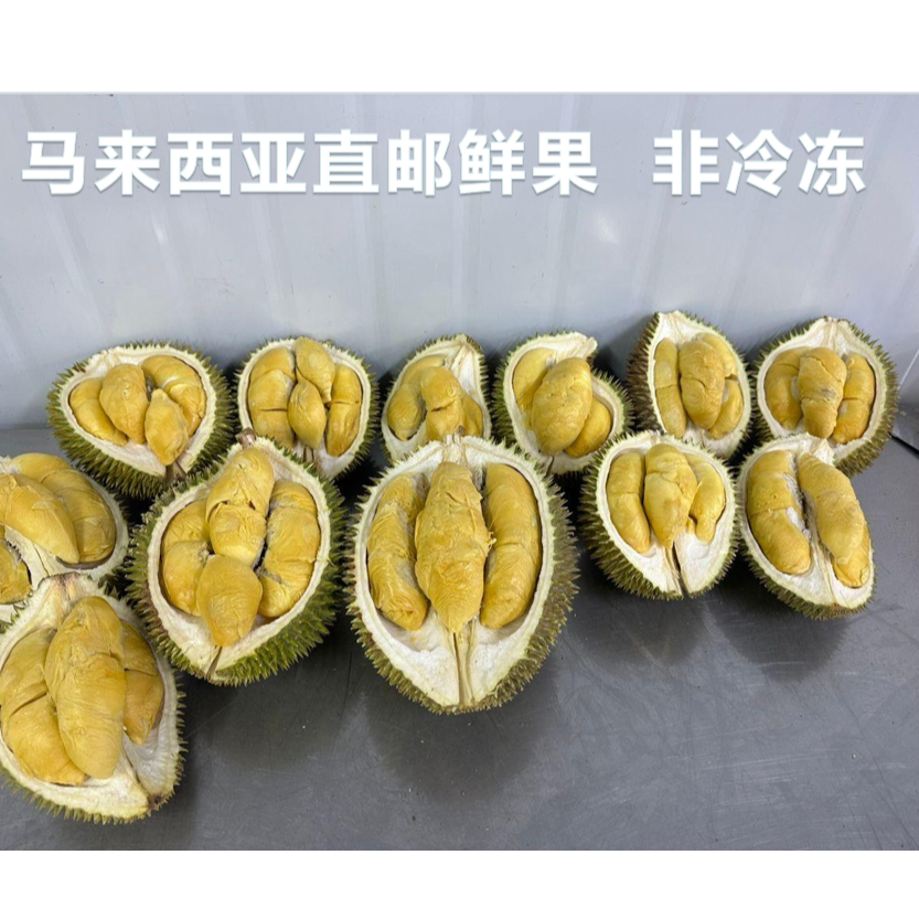 鲜猫/黑刺福利爆款