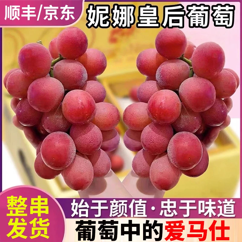 【顺丰/JD】妮娜皇后葡萄红宝石新鲜孕妇水果红提整串发货S6S2
