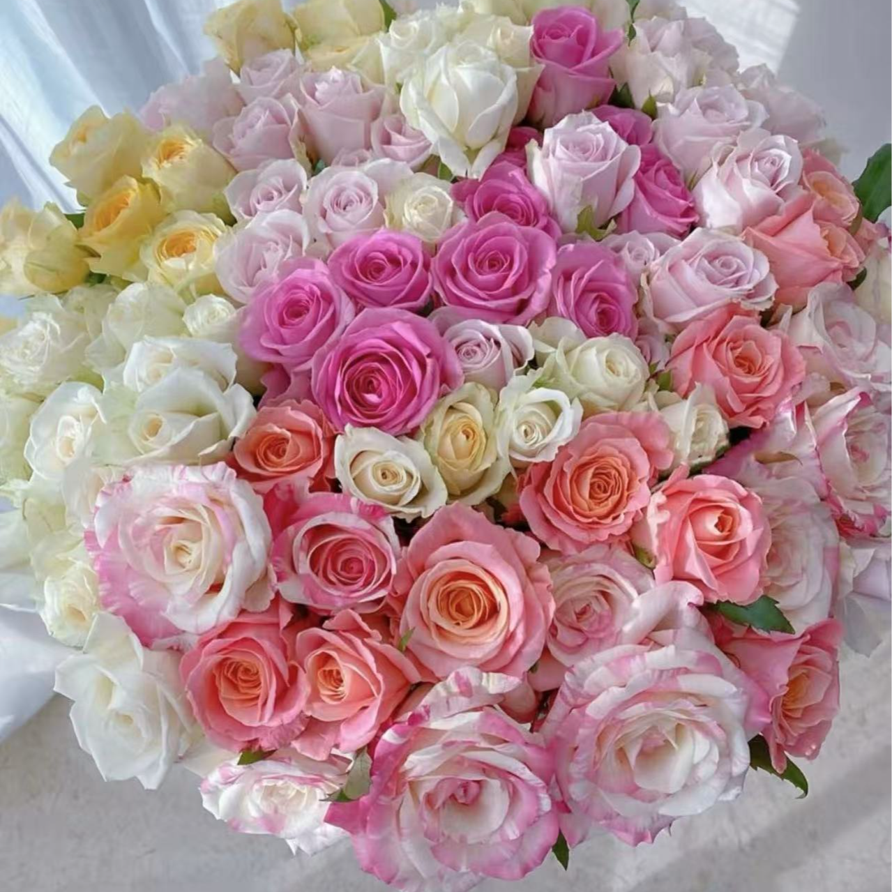 【FL盲盒玫瑰玫瑰】云南直发玫瑰鲜花两单京东冷链包邮