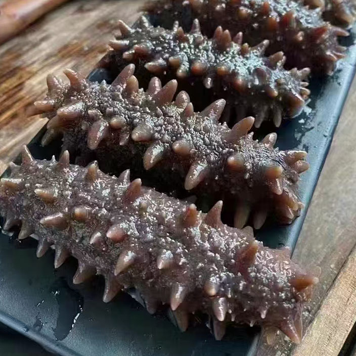 金泰达即食海参500g 独立真空包装品质有保证