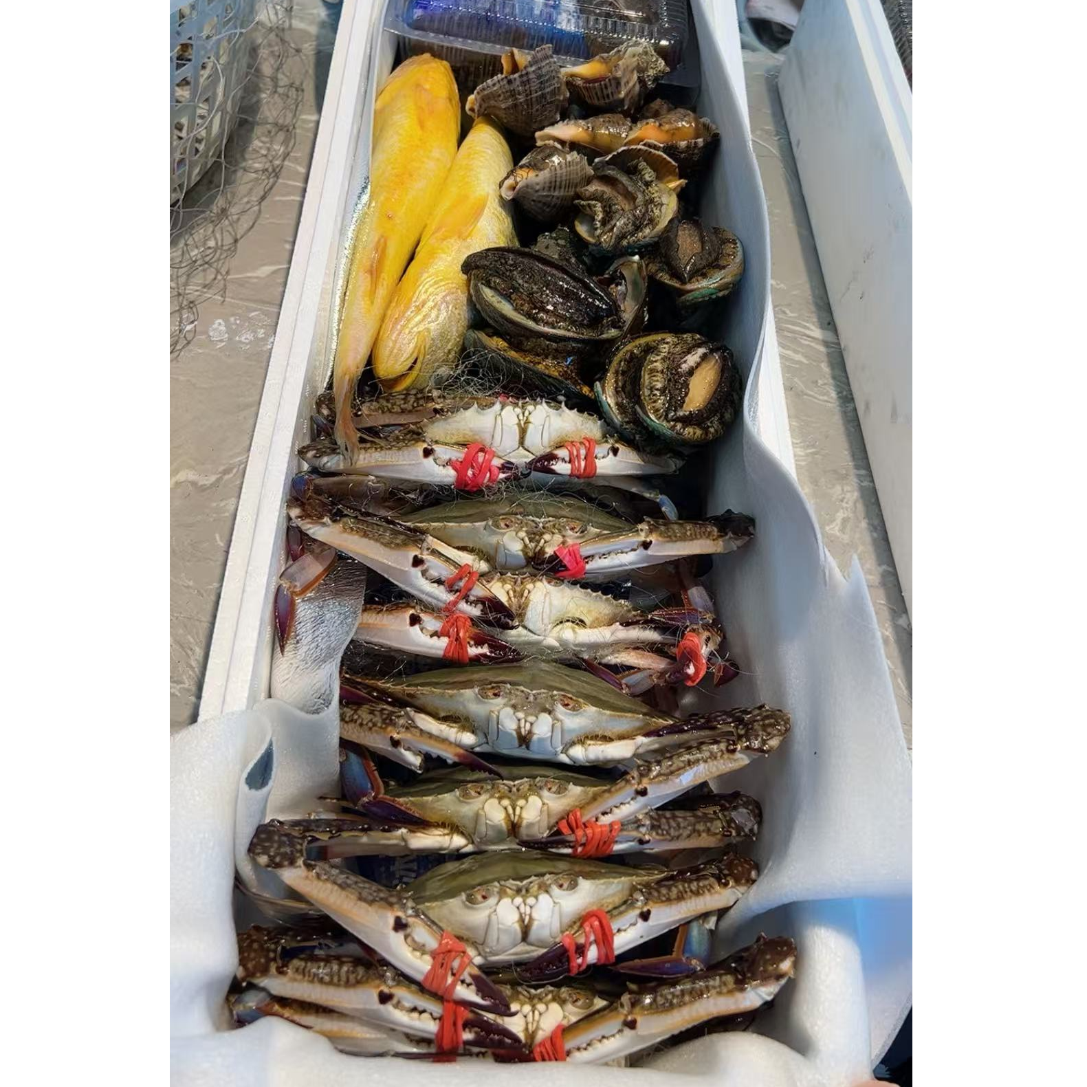鲜活海鲜礼包【5种海鲜拼搭】鲜活发货【保鲜不包活】