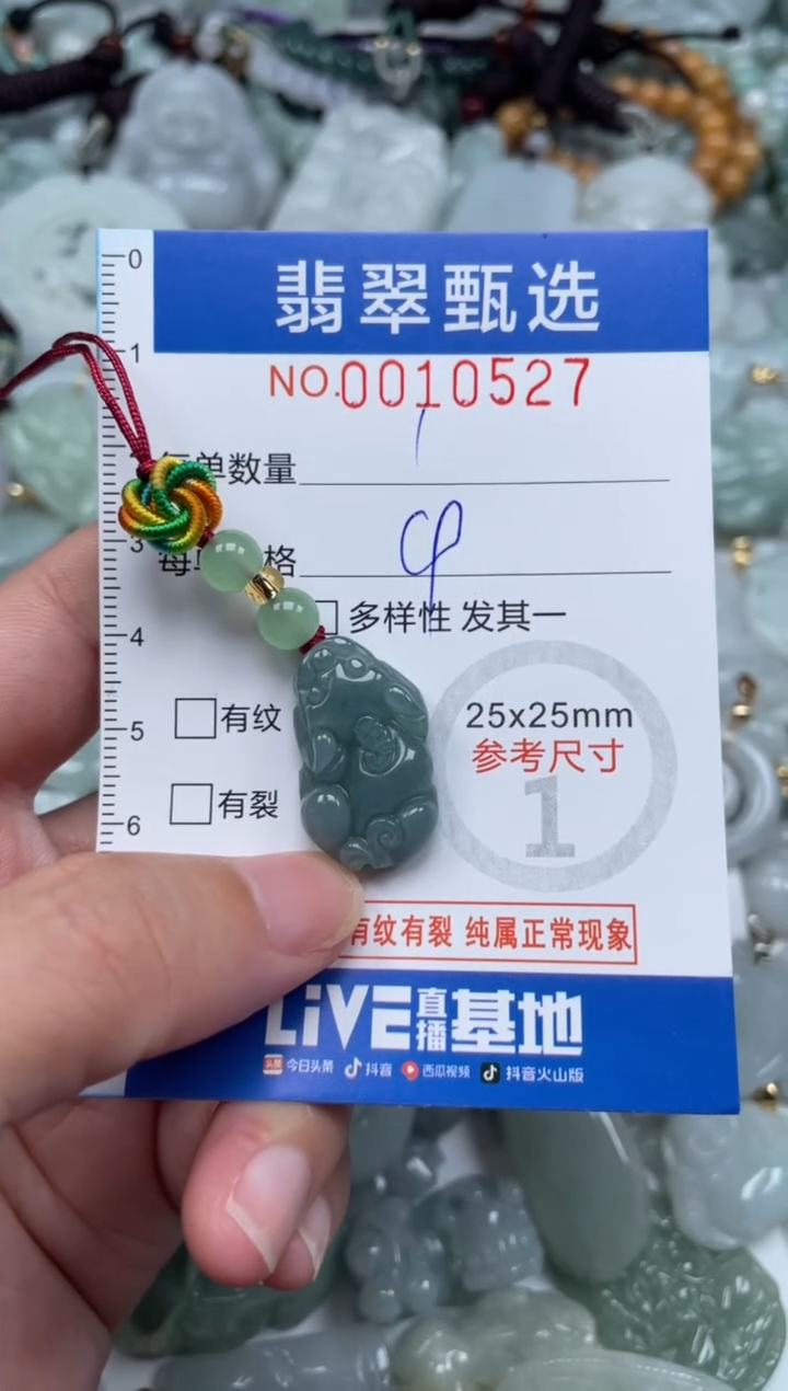 颈饰未镶嵌翡翠10527