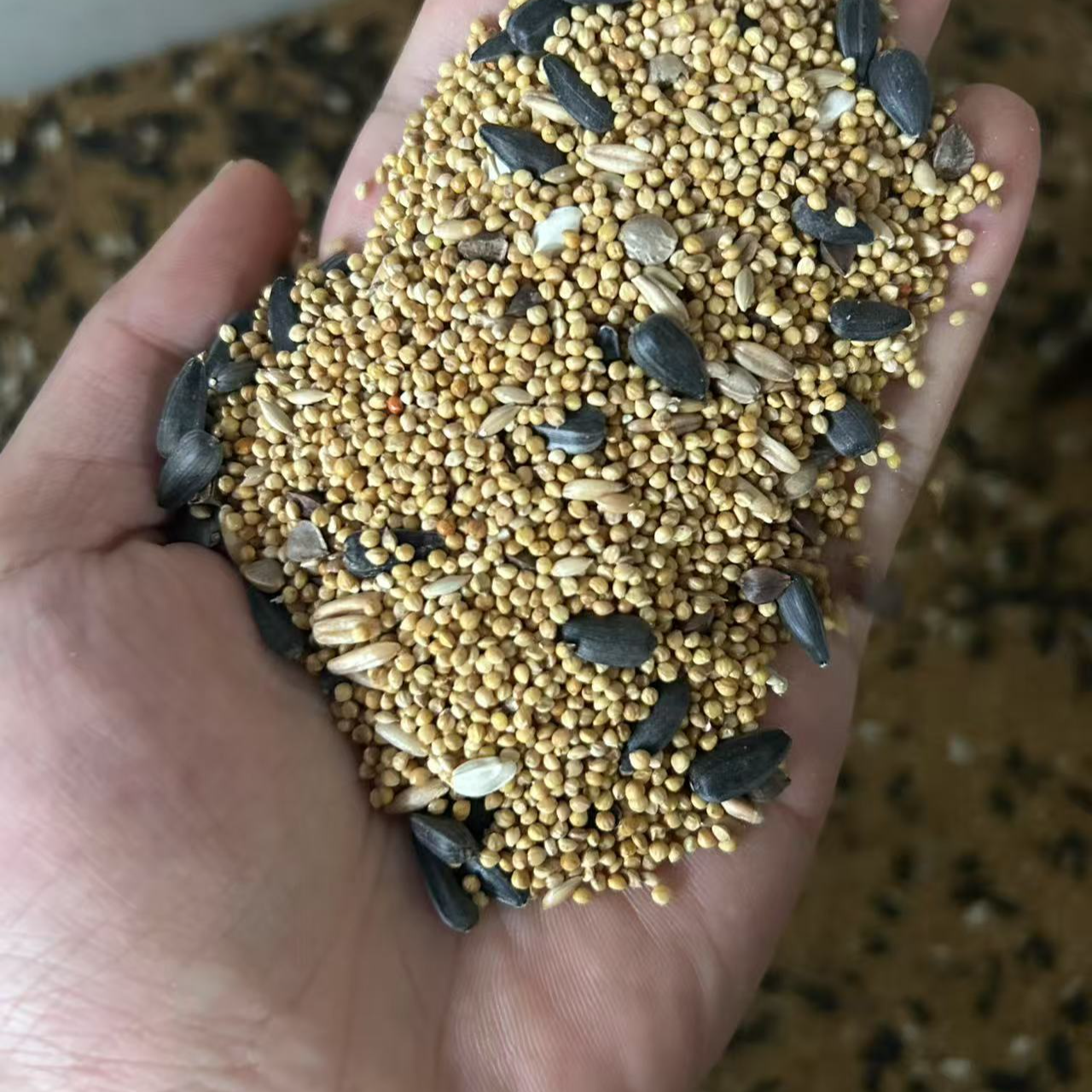 牡丹玄凤虎皮鹦鹉专用混合谷类鸟粮日常营养增肥亮羽