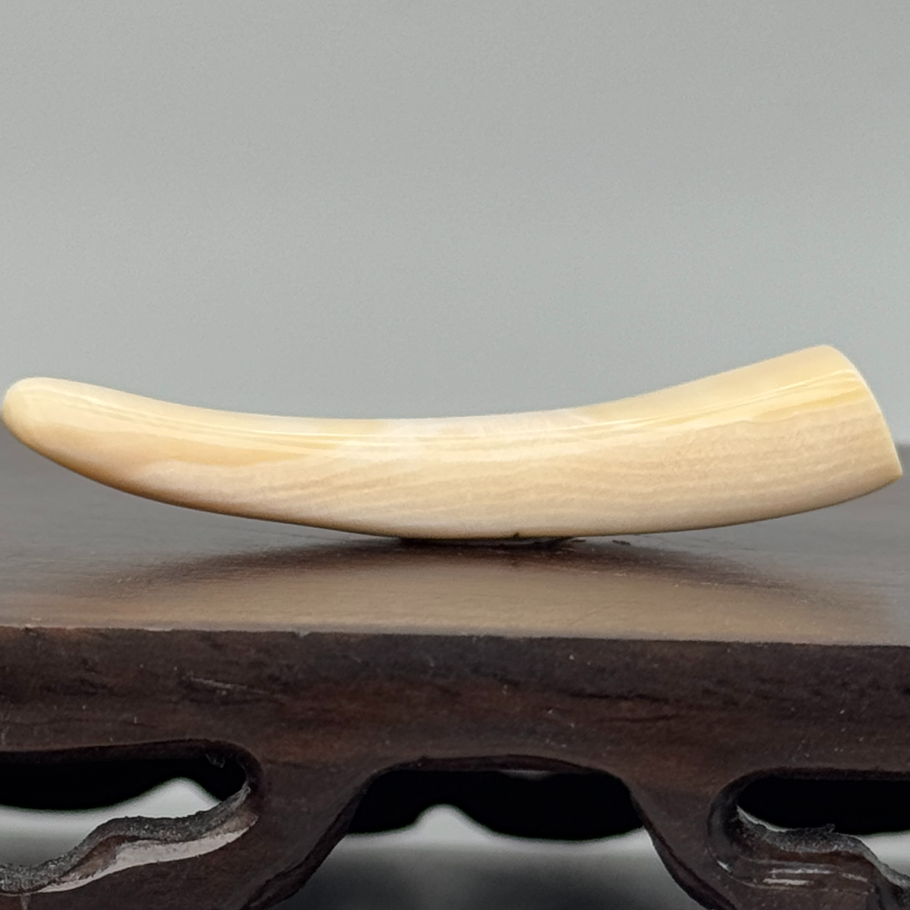 DEZHI/德志4.5g有裂牙尖48*7*11mm猛犸牙默认打孔配吊坠绳K847