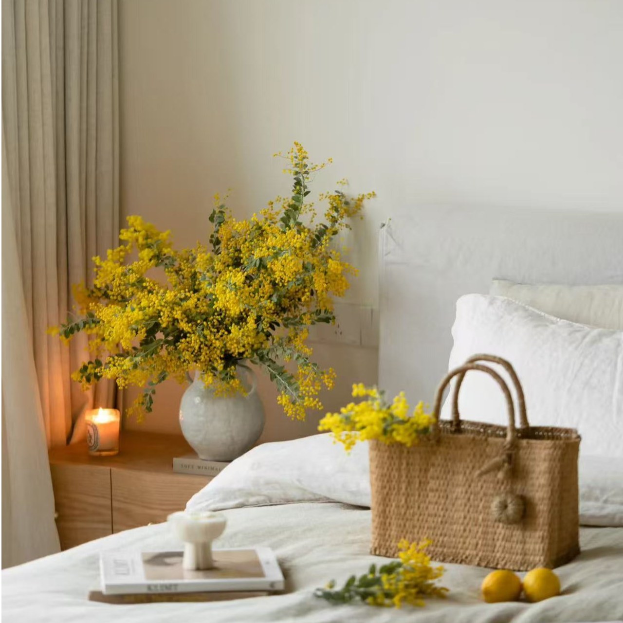 【金合欢】高品质水培鲜花云南发货