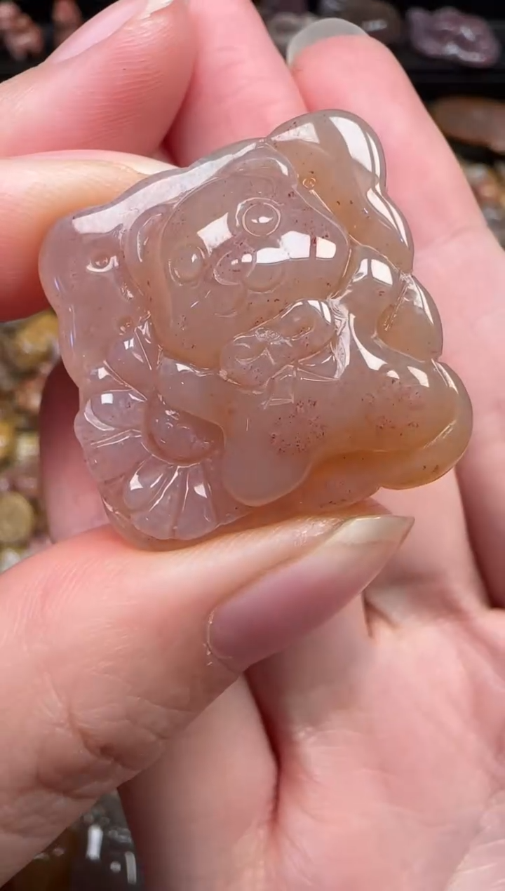 颈饰未镶嵌硅化珊瑚（珊瑚玉）393
