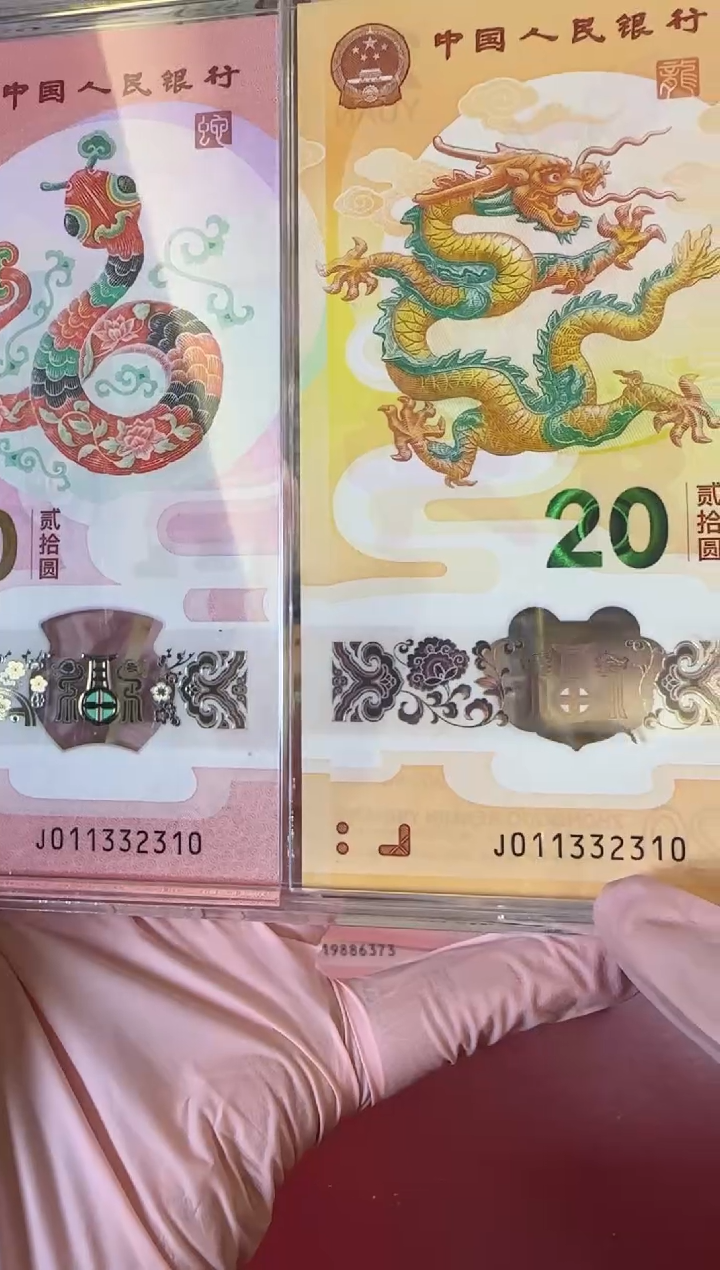 【闪购商品】塑料2025蛇钞 啊啊啊啊啊啊啊啊全同号裸