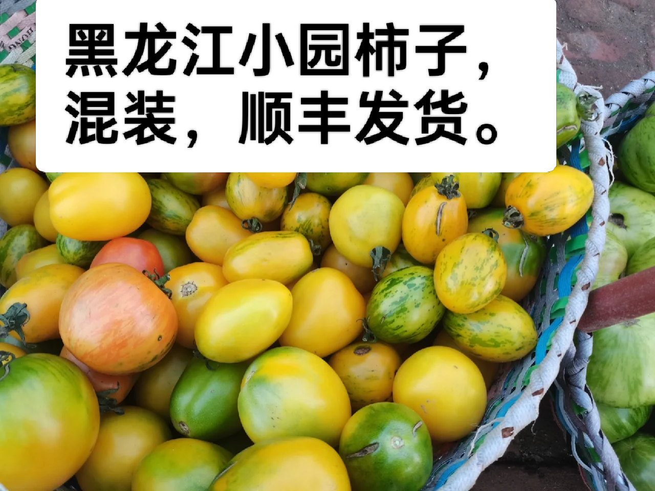 【顺丰包邮】发4.8斤多，个人家多种小园柿子组合酸甜自然熟新鲜采摘