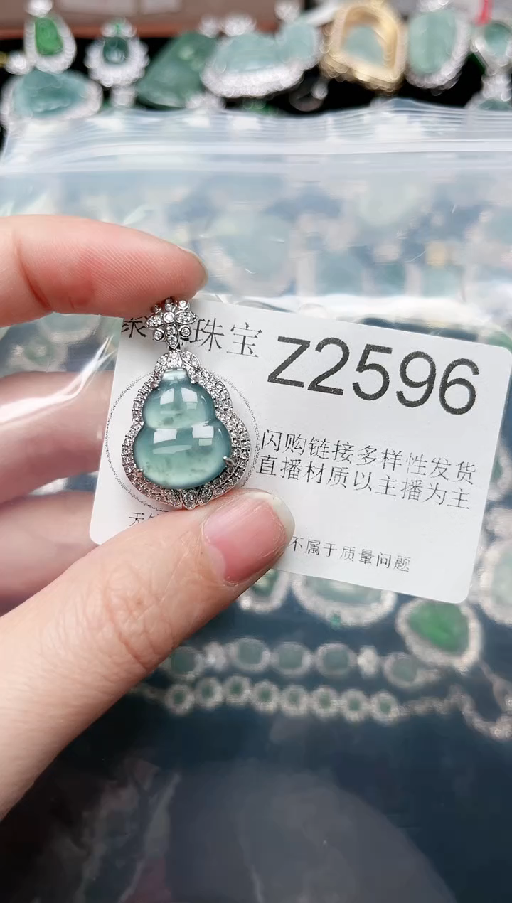 【闪购商品】翡翠颈饰未镶嵌赠皮绳2596