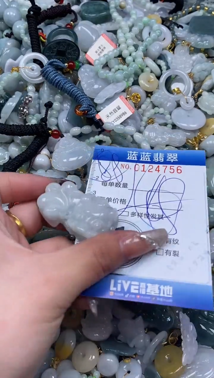 【闪购商品】翡翠颈饰未镶嵌闪购0124756