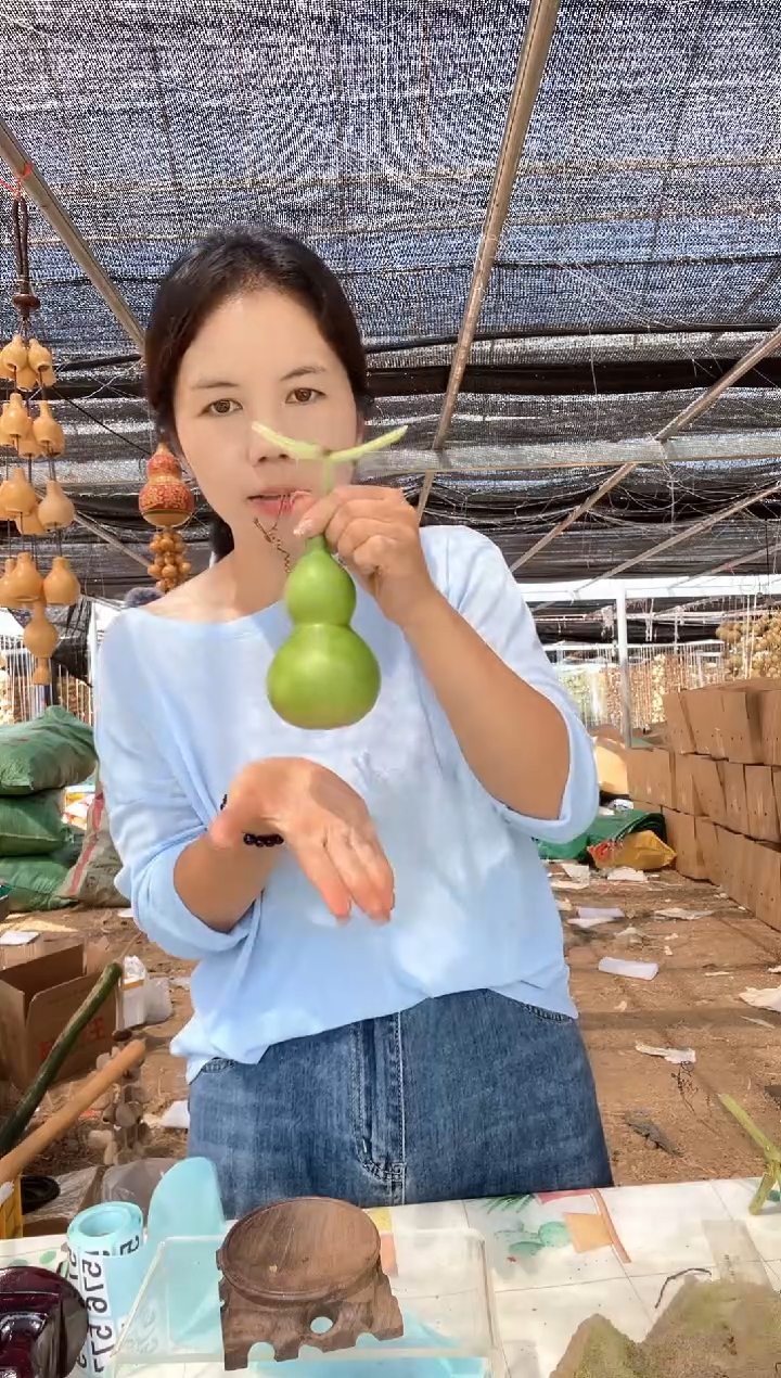 575天然葫芦摆件 一物一拍龙头不保售后微瑕疵