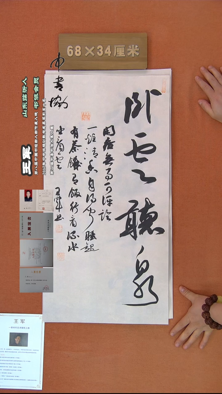 【闪购商品】书法248王军书法作品