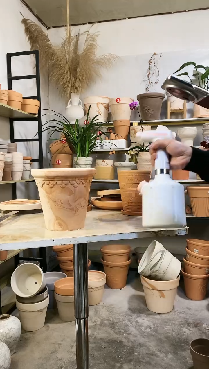 【闪购商品】红陶20*19玛奇朵巴洛克 1盆无托