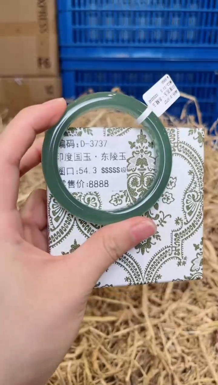 未镶嵌手镯石英质玉D-3737