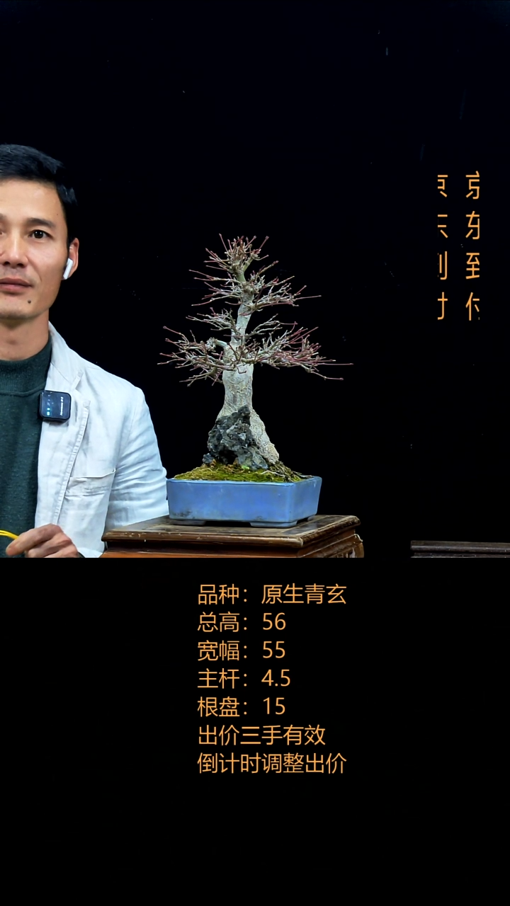 无花朵用****100000000