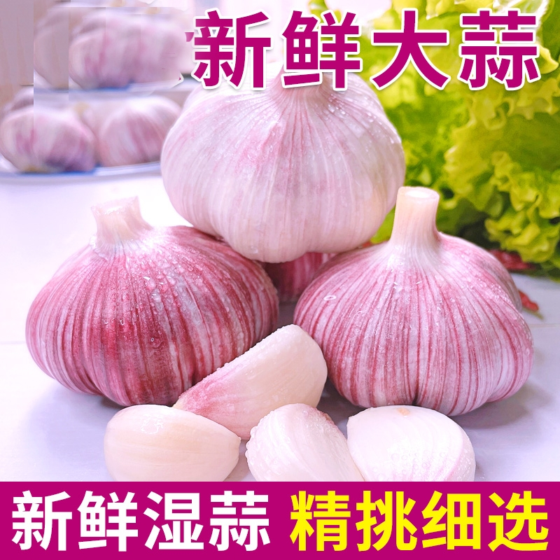 (助农特惠)2025新鲜大蒜可做腊八蒜糖醋蒜鲜蒜助农特惠价