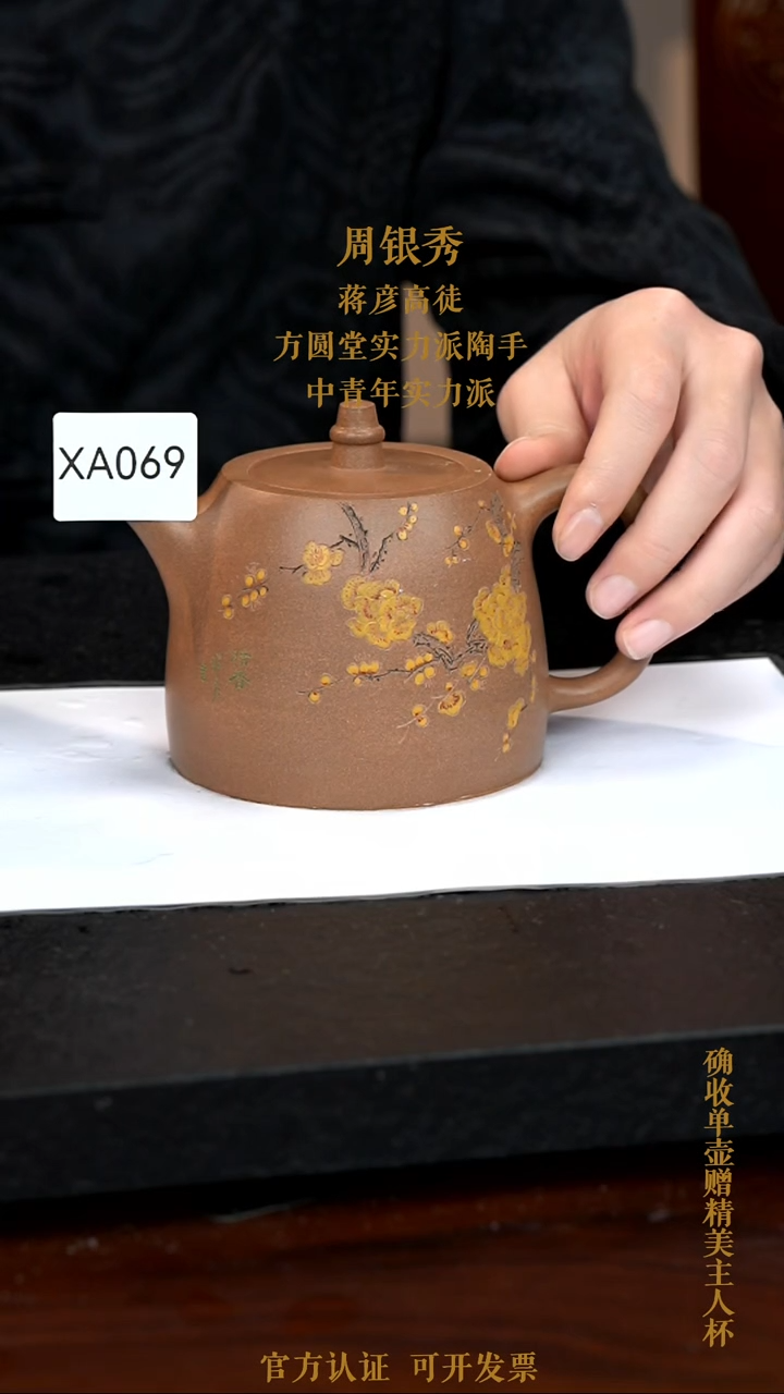 【闪购商品】紫砂茶壶XA069-0113XYZ