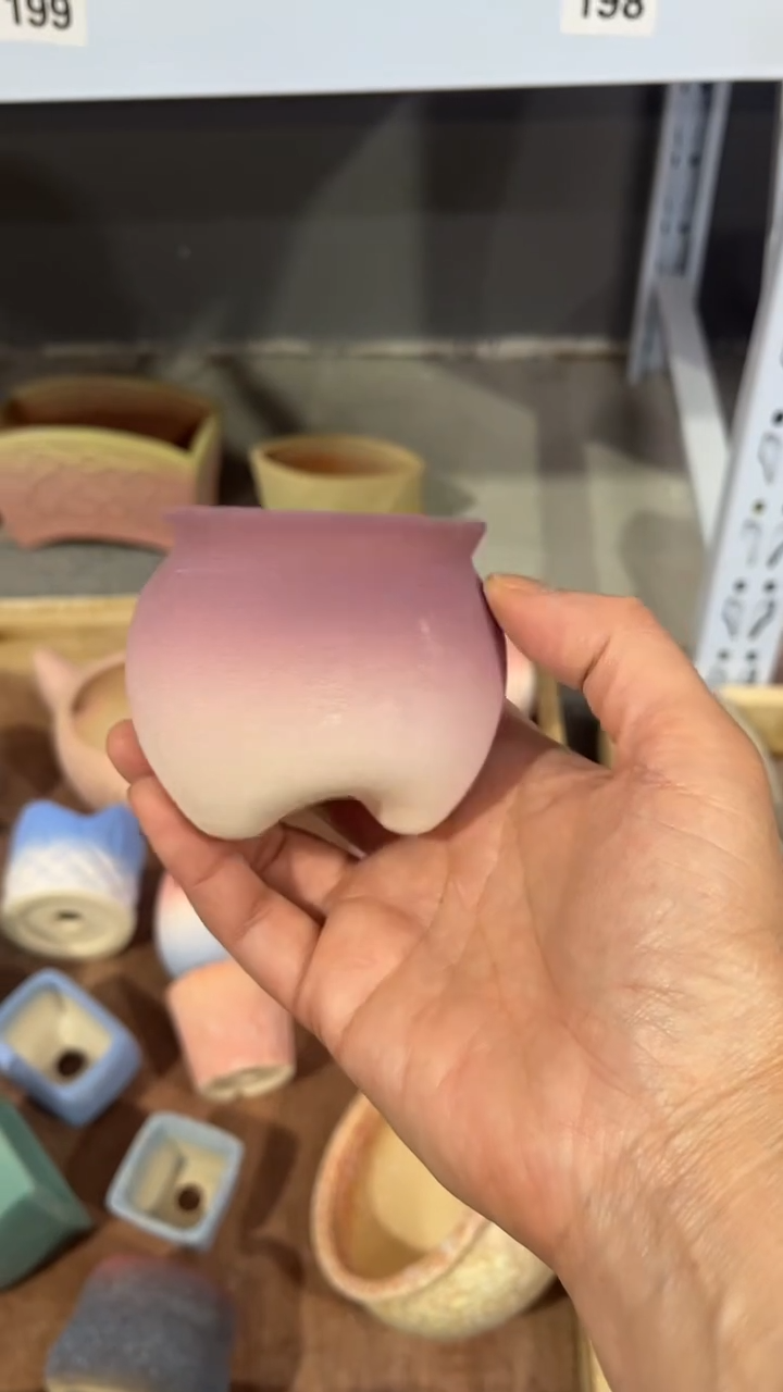 【闪购商品】红陶5*5