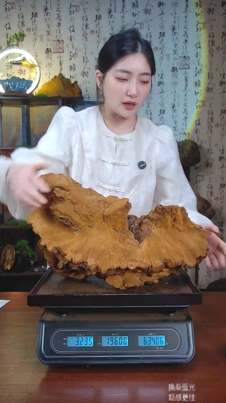 松针层孔菌中国大陆【藏区 野生】松树桑黄（6.61斤）70-80年份