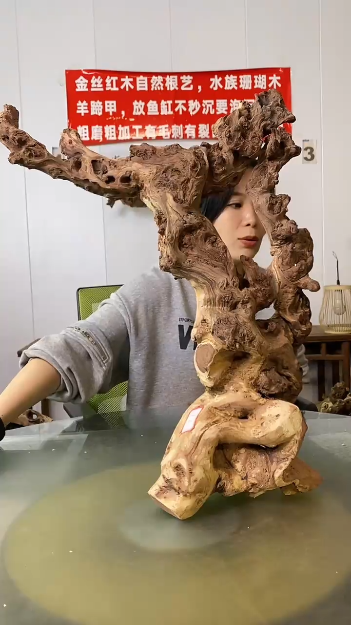 香榧木吾**杉金丝红木 羊蹄甲