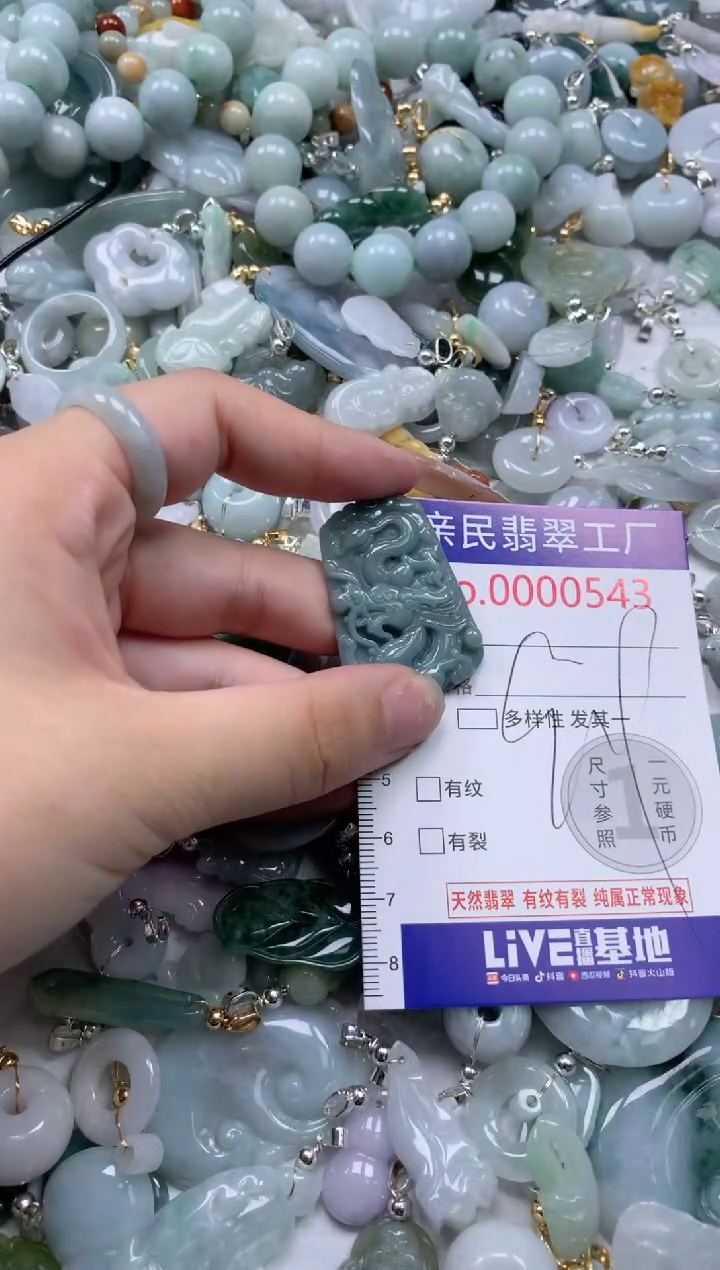 翡翠未镶嵌吊坠(不含链)543