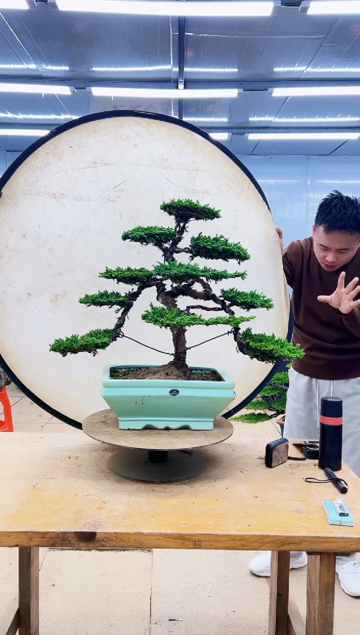 以实际为准00000000000000000000