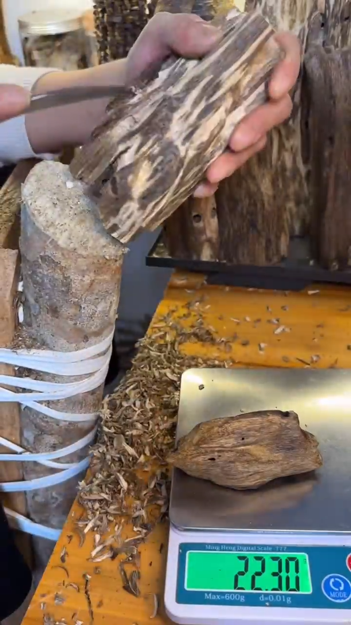 沉香沉香碎屑乌身圆叶品种22克