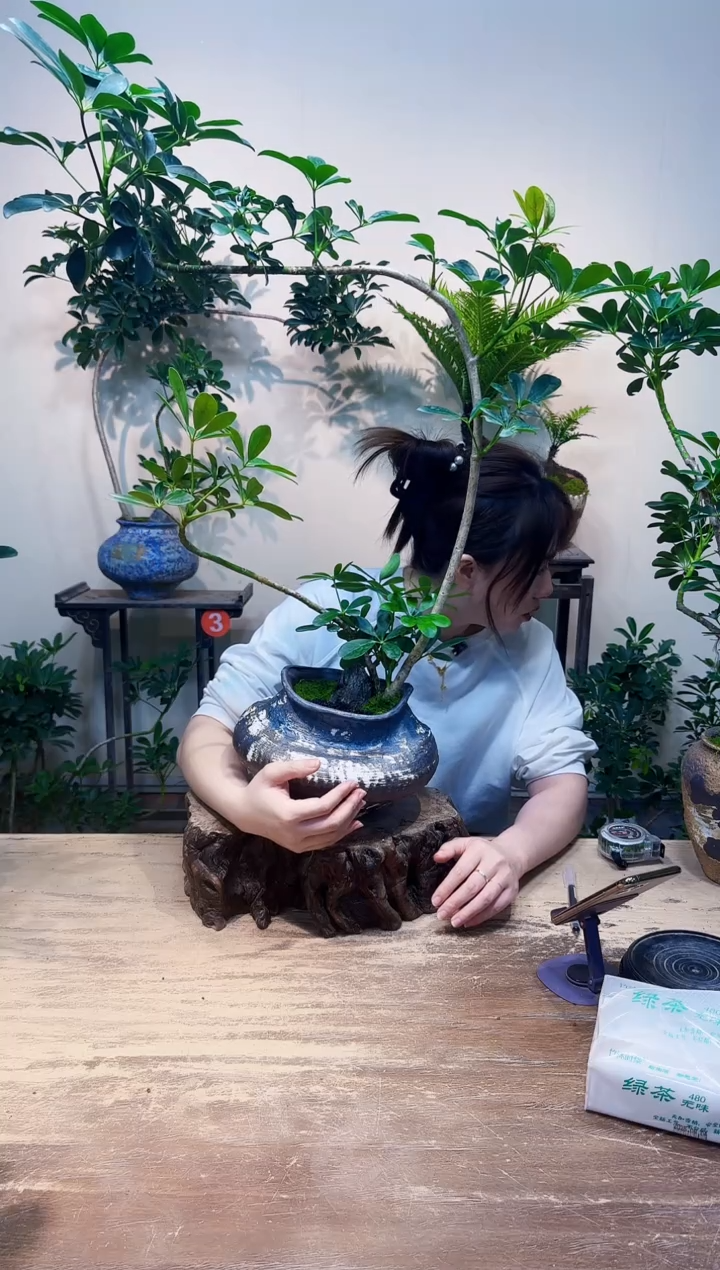 无花朵绯****号老朋友优惠价308