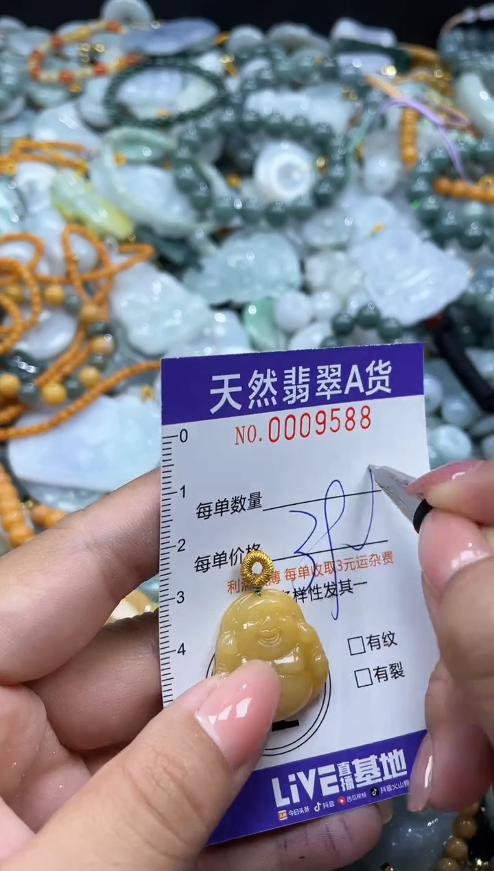 翡翠未镶嵌颈饰09588