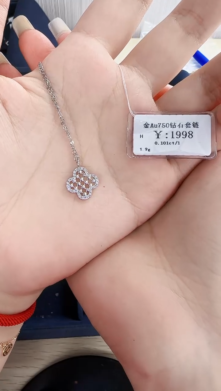 颈饰钻石18K金镶嵌✨****子B2599908909512