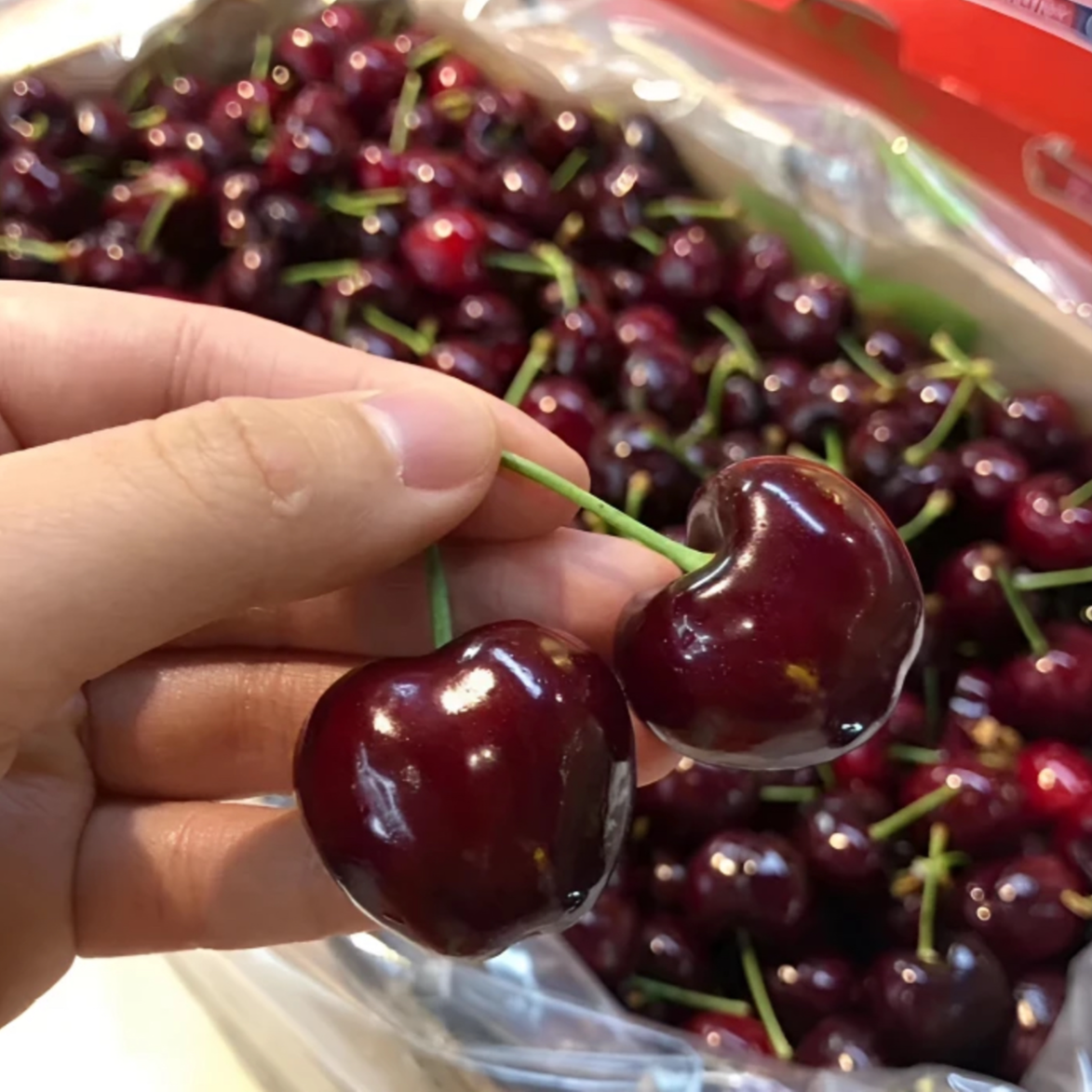 【顺丰京东快递】拉宾斯海运智利车厘子5斤3J~5J 内附果径卡