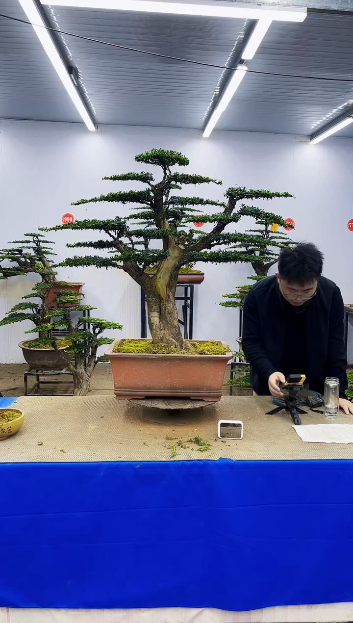 完全开放一物一拍，所见即所得1