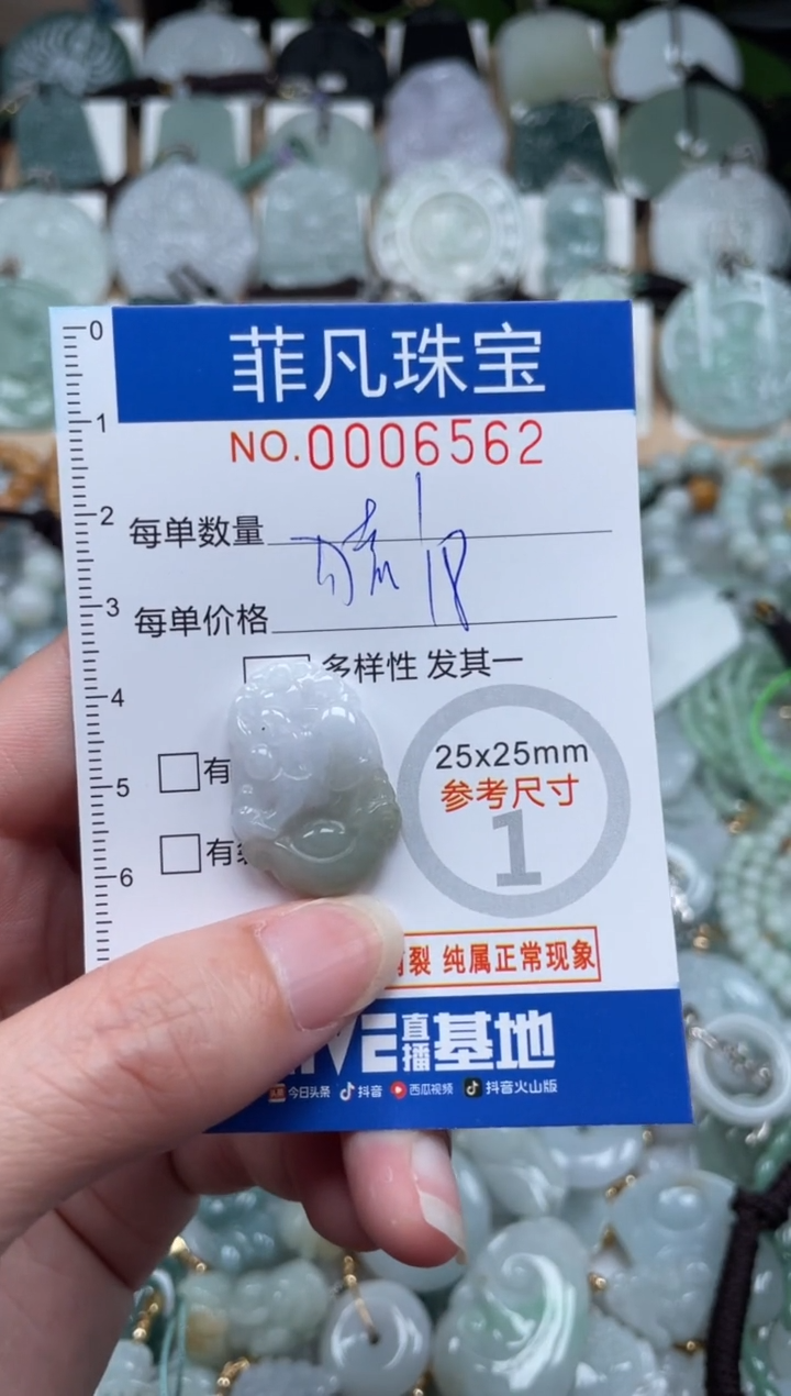 翡翠未镶嵌颈饰00..6562