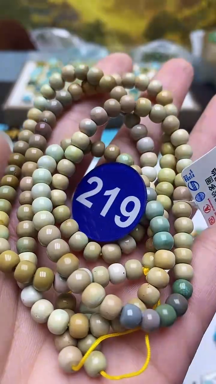 绿松石未镶嵌项链219