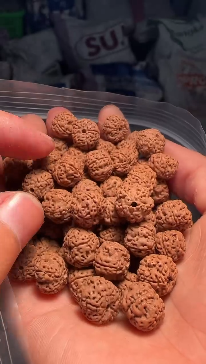 手串金刚菩提非全品平细散籽11-12mm一份一百颗