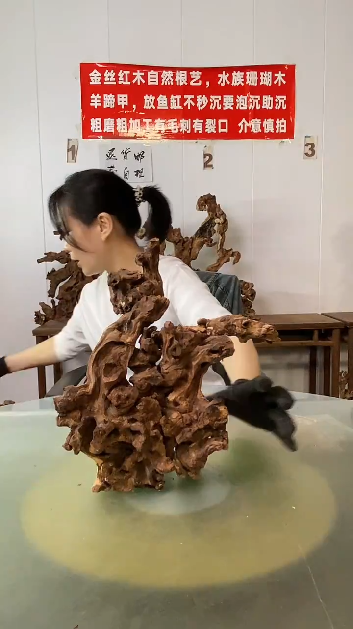 木痴****童金丝红木 羊蹄甲