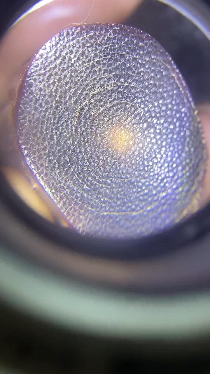 【闪购商品】茶盏闪购商品，如图所示