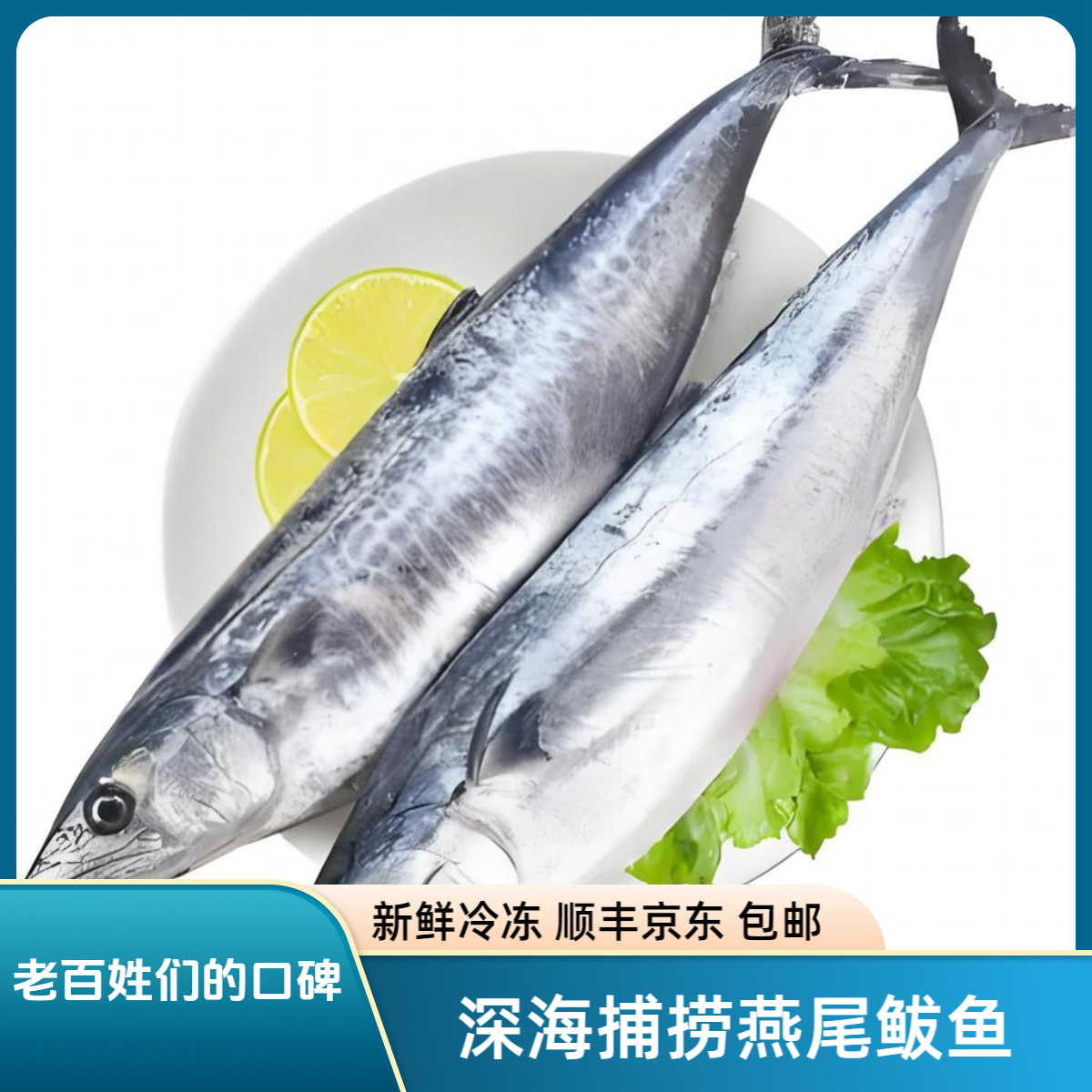 深海生鲜捕捞新鲜燕尾鲅鱼冷冻马鲛鱼顺丰/京东包邮