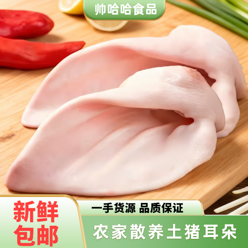 苏北新鲜散养现杀猪耳朵片猪耳尖商用农家土猪猪舌头耳朵卤菜食材