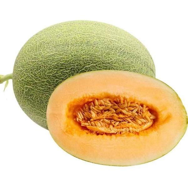 香甜哈密瓜/个