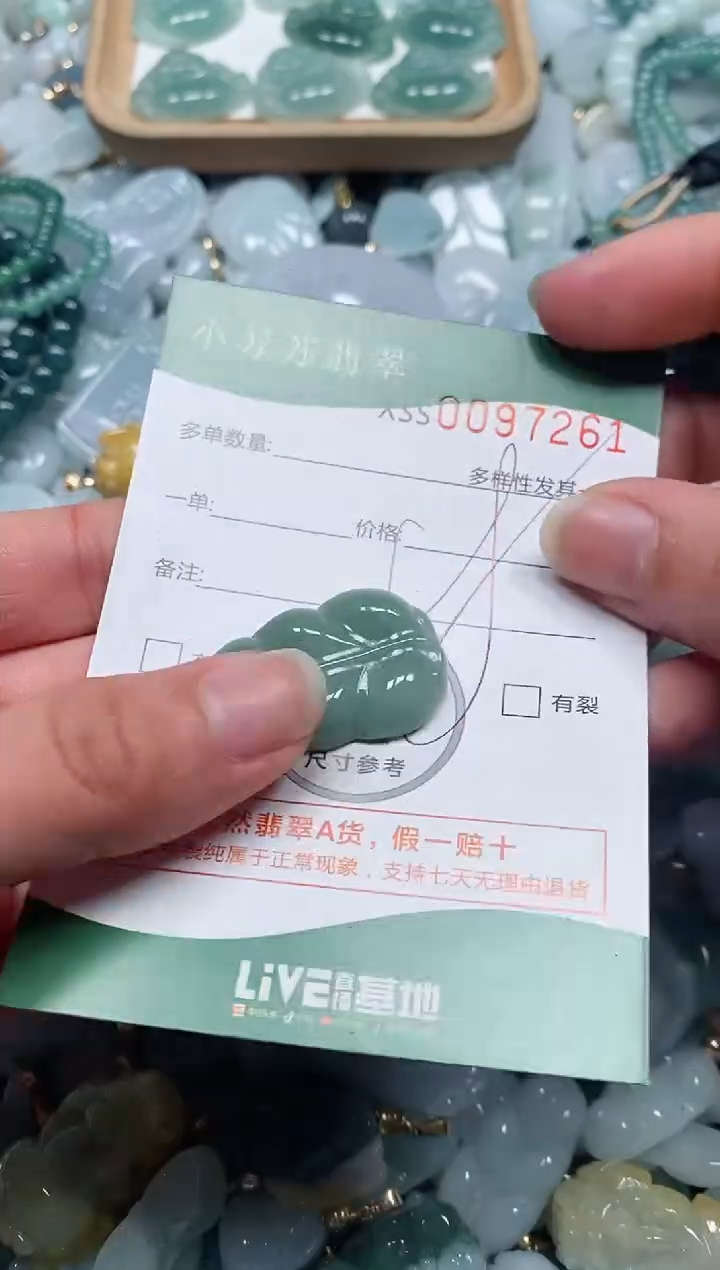 【闪购商品】翡翠颈饰未镶嵌闪购商品0097261