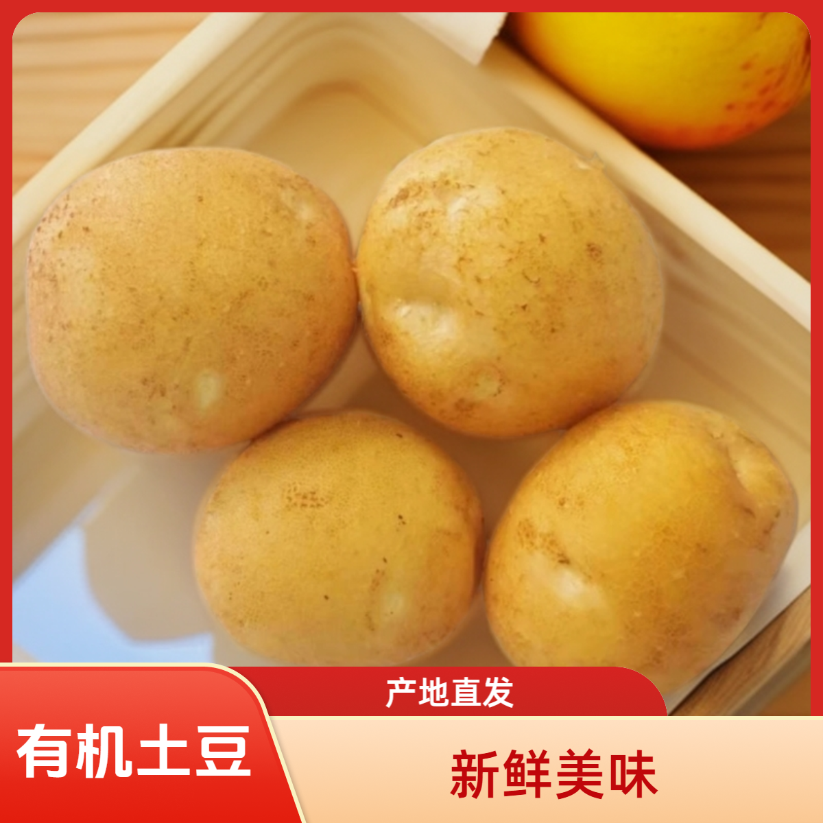 宁夏西吉高原白皮有机土豆中果5斤（李琬有机菜）有机蔬菜