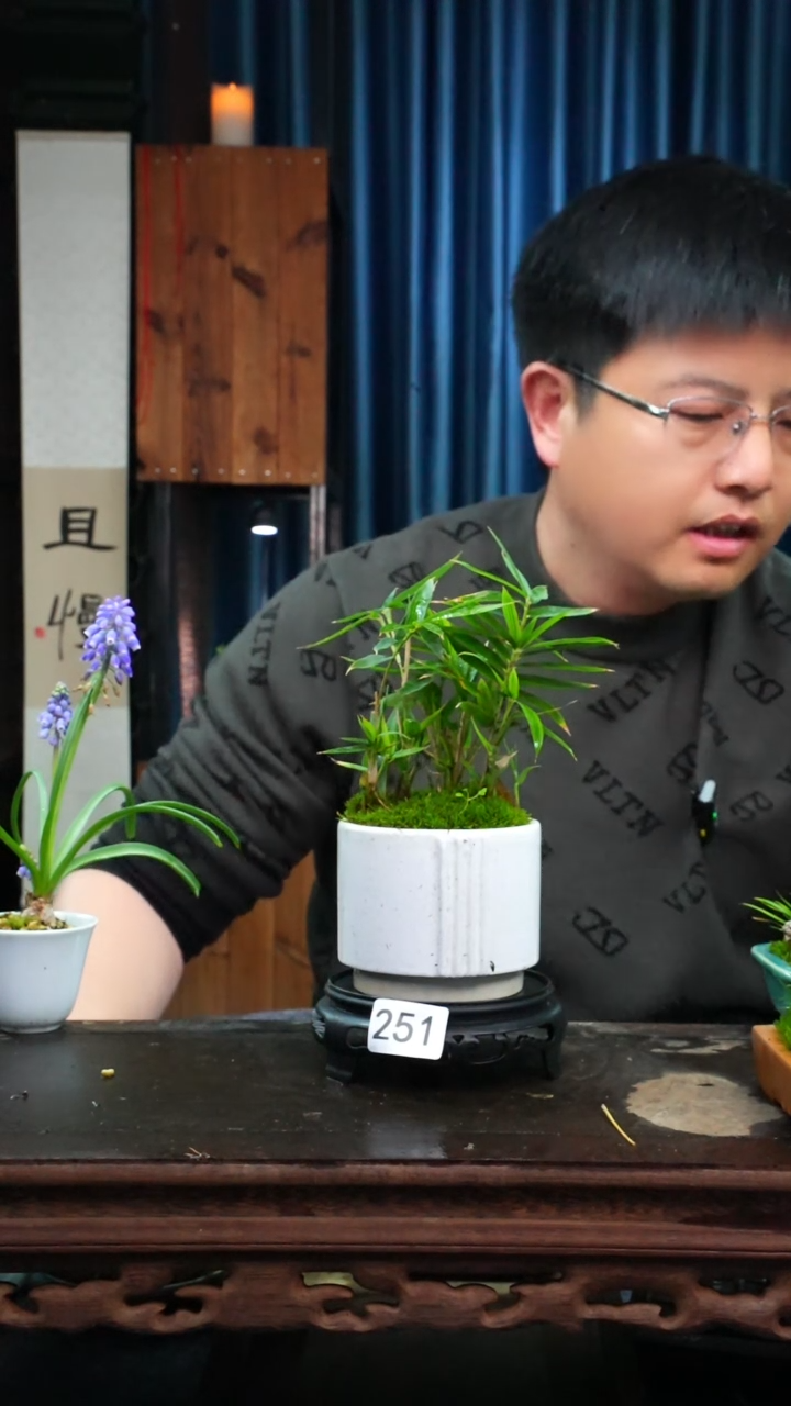 【闪购商品】苔藓微景观251号