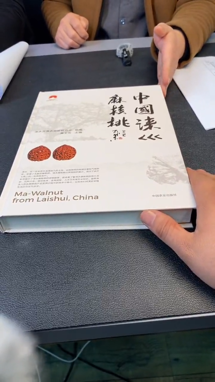 吊坠文玩核桃文玩核桃讲解